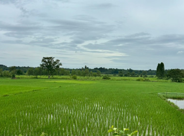 กบส. ลงพื้นที่อำเภอปลาปาก อำเภอนาแก และอำเภอเรณูนคร ... พารามิเตอร์รูปภาพ 8